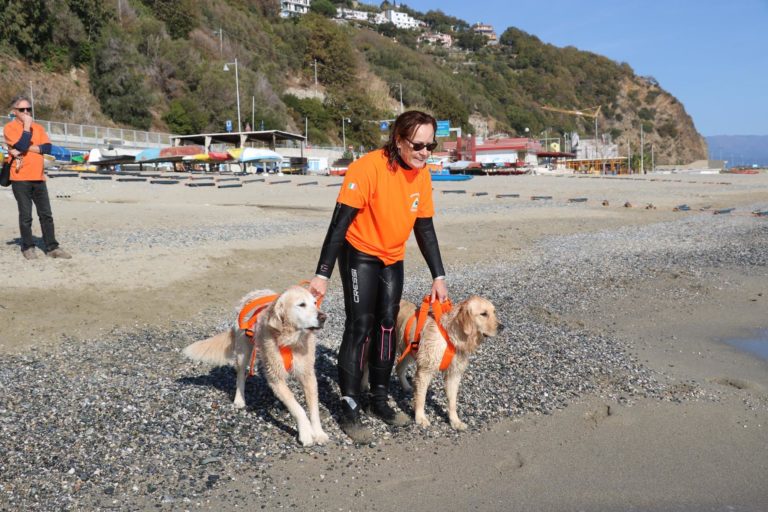 Associazione Dei dell'acqua Onlus, cani da salvataggio