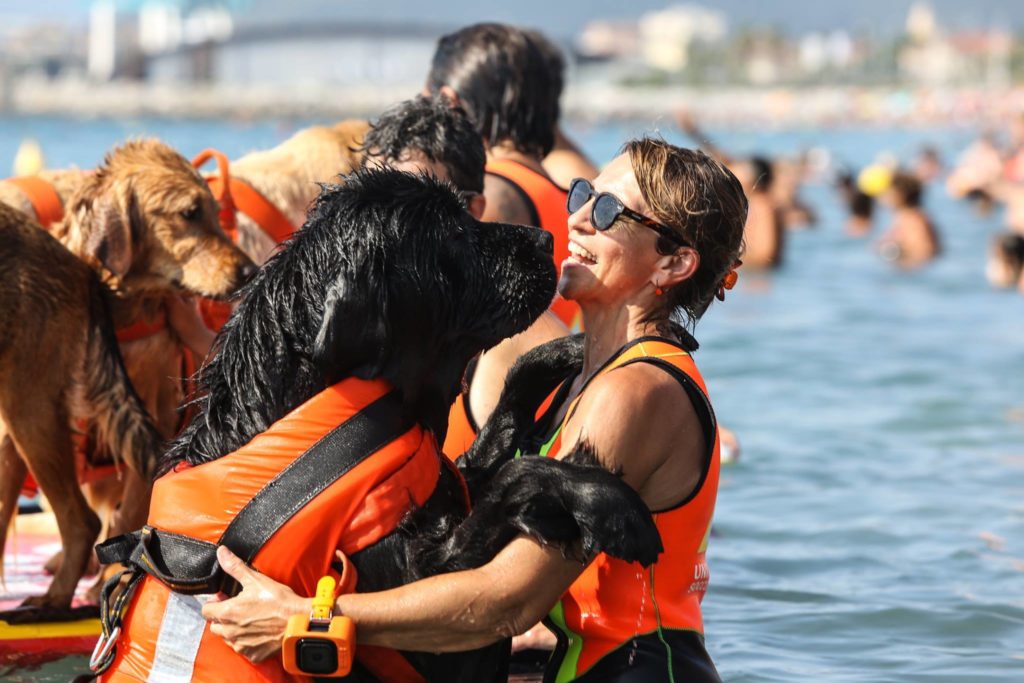 Associazione Dei dell'acqua Onlus, Edi