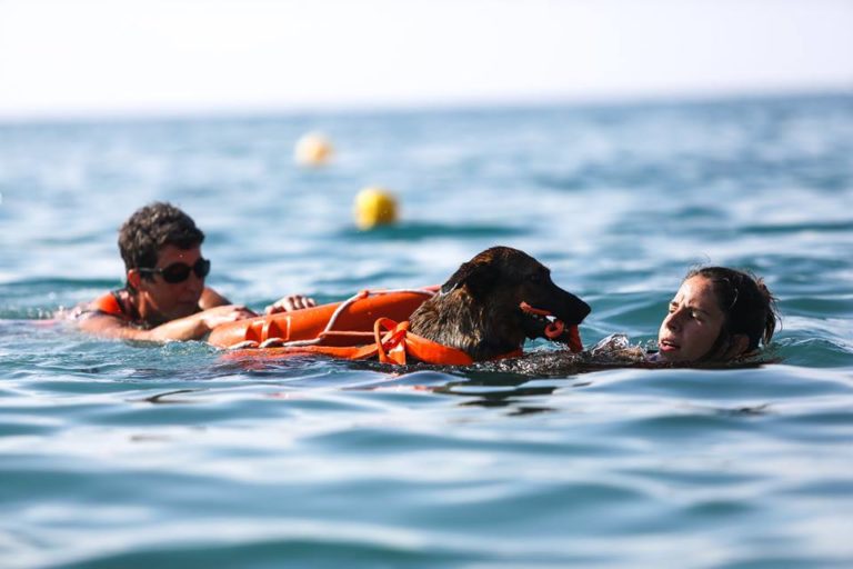Recupero pericolante simulazione Associazione Dei dell'acqua Onlus