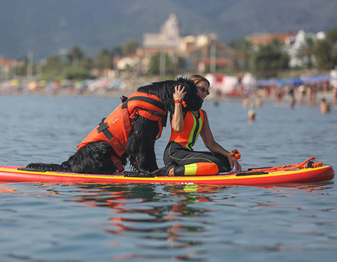 GEOIRESCUE SUP© E DOGSUP© - Dei dell'acqua - onlus