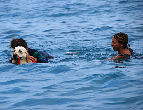 Pet therapy - Associazione Dei dell'acqua onlus