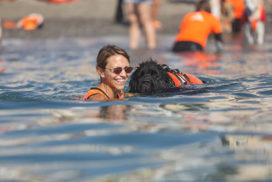 Salvataggio Nautico Associazione Dei dell'acqua