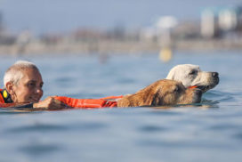 Salvataggio Nautico Associazione Dei dell'acqua