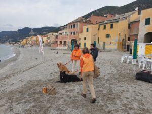Dei dell'acqua