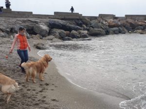 Dei dell'acqua