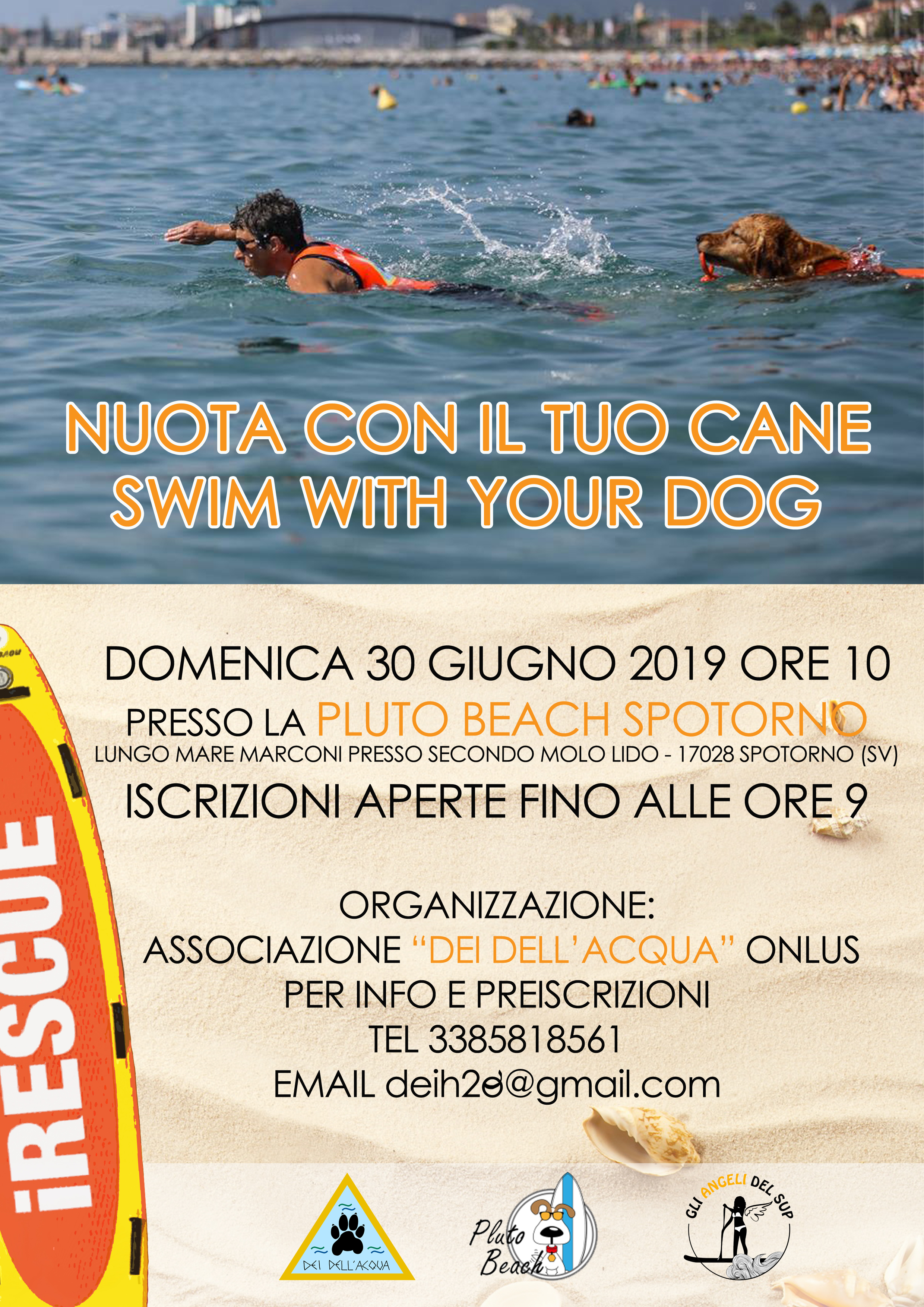 Nuota con il tuo cane