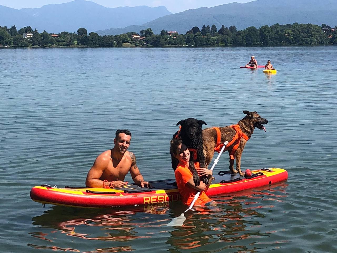 DOGSUP