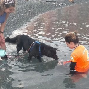 acquaticità 5