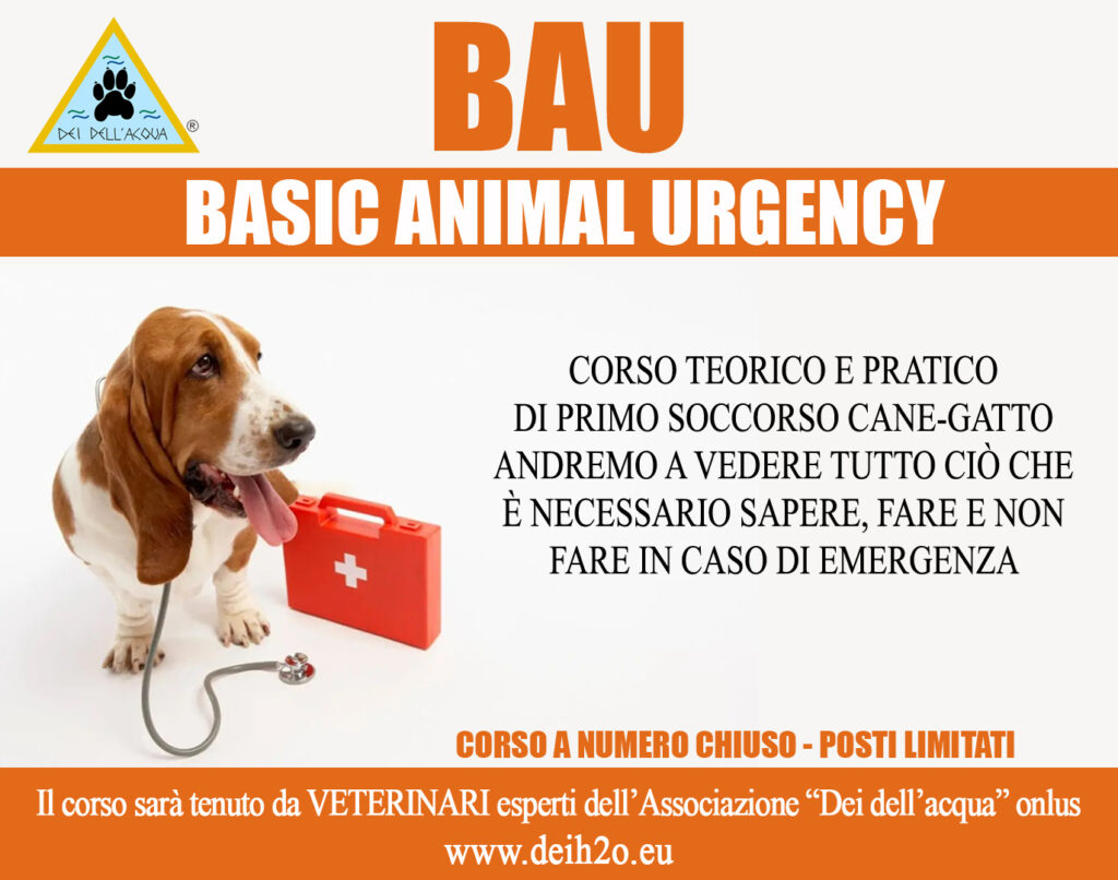 corso BAU BASIC ANIMAL URGENCY