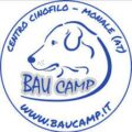bau camp