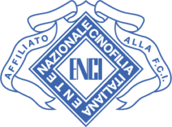 logo-enci-2x logo-enci-2x